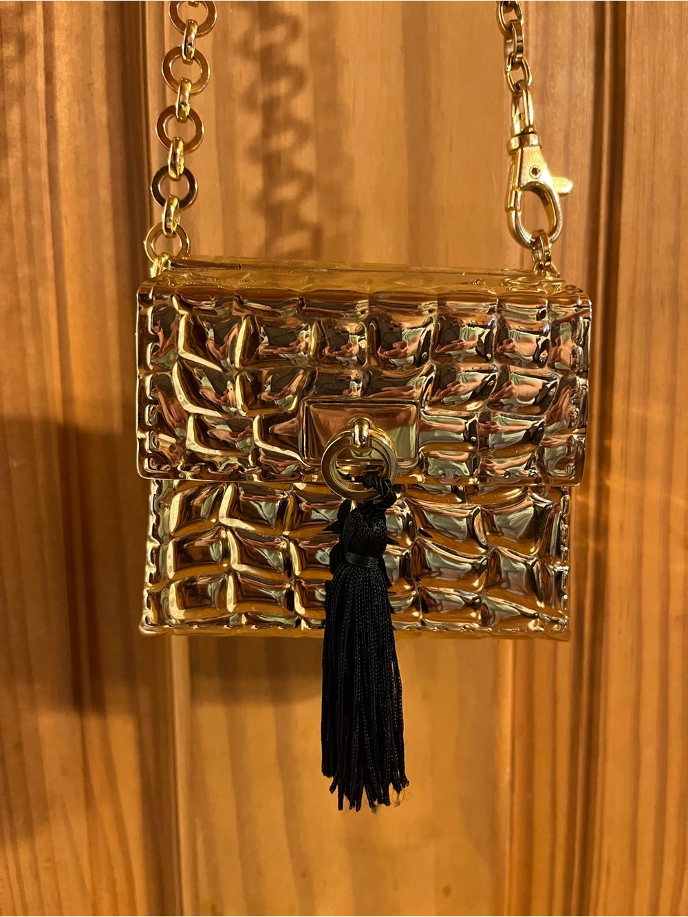 Gold Metallic Mini Crossbody Bag with Black Tassel